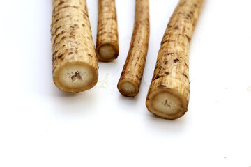 Fresh burdock roots or gobo roots
