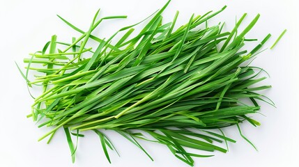 Fresh green cut wild grass isolated on white background with texture top view