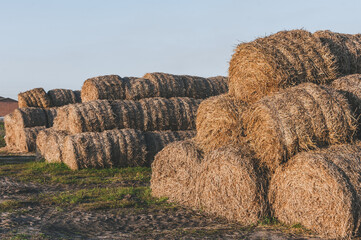Large stacks of hay stacked on top of each other in a field.