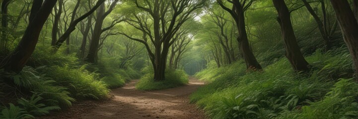 Obraz premium Deep sandy lane winding through lush green forest understory , dappled light, exploration