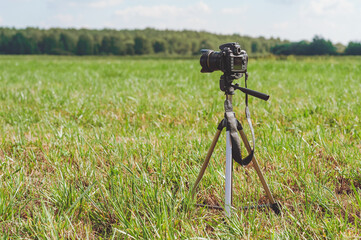 The camera stands in the field on a tripod. Background of trees and sky.