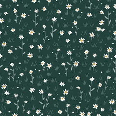 Meadow flowers seamless pattern. Grass with daisy or chamomile flowers. Summer fields background. Vector cartoon illustration.