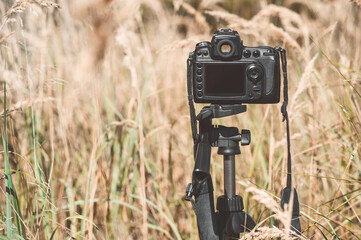 Professional photo-video camera on a tripod. Background of dry golden grass.