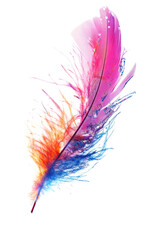 Isolated flowing colorful feather