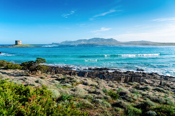 Rocky coast of the Mediterranean Sea with clear water in Italy on Sardinia. Famous beach La Pelosa. A popular holiday destination in the south of Europe.	
