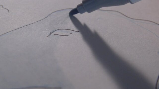 Coloring a izard with a light grey marker