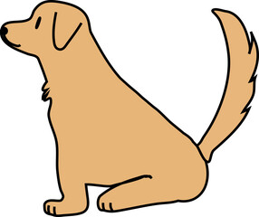 cute simple big dog, retriever