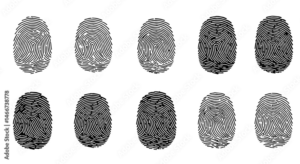 Wall mural fingerprint patterns: a detailed study of fingerprint patterns in a close-up shot, exploring the int