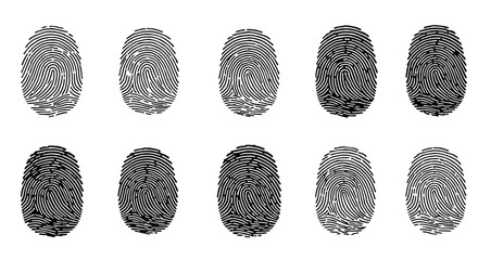 Fingerprint Patterns: A detailed study of fingerprint patterns in a close-up shot, exploring the intricate details of human identification, forensics, and biometric security.