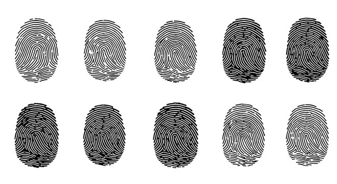 Fingerprint Patterns: A detailed study of fingerprint patterns in a close-up shot, exploring the intricate details of human identification, forensics, and biometric security.