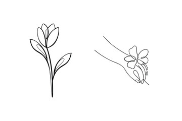 Elegant hand drawn single line art depicting a flower and a hand holding a delicate blossom