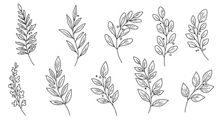 Botanical Sketch Collection: Hand-drawn botanical illustrations featuring intricate sketches of delicate leaves and branches, perfect for adding an organic and artistic touch to any design.