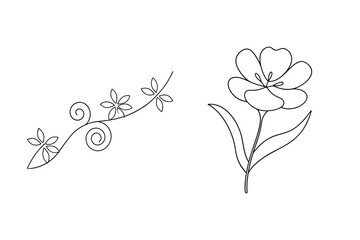 Delicate floral line art illustrations featuring a blooming flower and a floral vine element