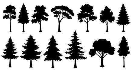 Silhouette Tree Collection: A collection of diverse silhouettes of various tree species, each meticulously crafted to embody the unique essence of nature.
