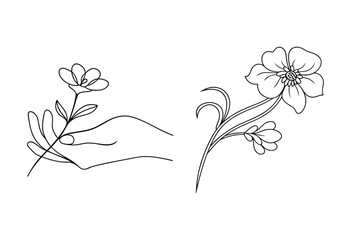 Elegant black and white line art of delicate flowers with a hand holding a bloom and blossoms