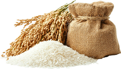 rice stalks 