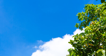 Bright blue sky with fluffy white clouds.