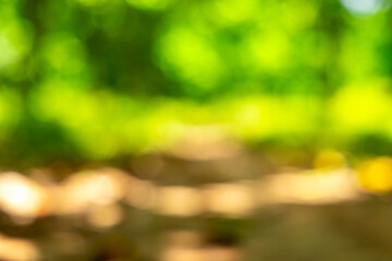 Abstract Defocused Background of Lush Green and Yellow Foliage