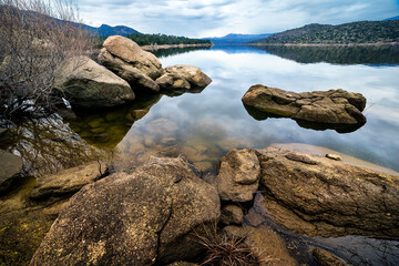Reflejos en el pantano