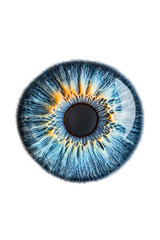 Isolated Close-up of a Human Eye