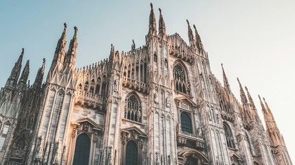 Fototapeta premium Towering Gothic cathedral, spires and detailed carvings bathed in soft light, ornate facade radiating grandeur, dynamic low-angle perspective. 