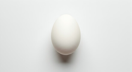 Single White Egg Centered On White Background Minimalism And Simple Composition