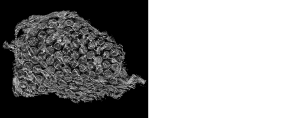 Seamless Bubble Wrap Overlay for Background Design Templates on a Transparent or White Background