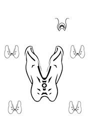 Obraz premium Thyroid gland icons set in black filled and stroke line style