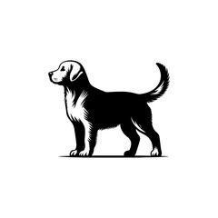 vector illustration of a black dog and white background 