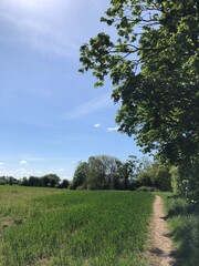 A public footpath in early May, in very dry conditions, North Yorkshire, England, United Kingdom