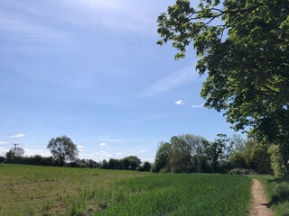 A public footpath in early May, in very dry conditions, North Yorkshire, England, United Kingdom