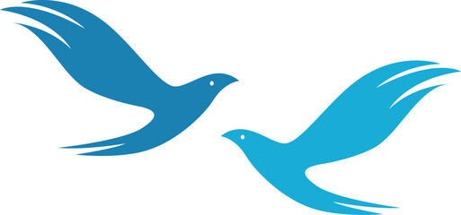  two birds fly on white background