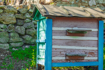 Beehives with bees flying out, set in a natural environment. Highlights global bee population
