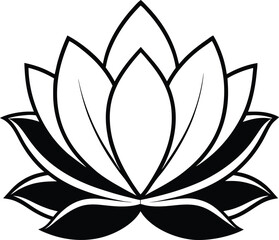 lotus flower isolated on white