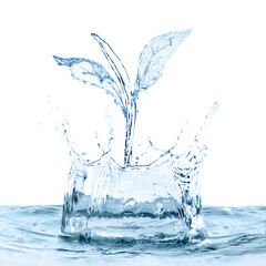 Tree leaves made of splashing water against white background