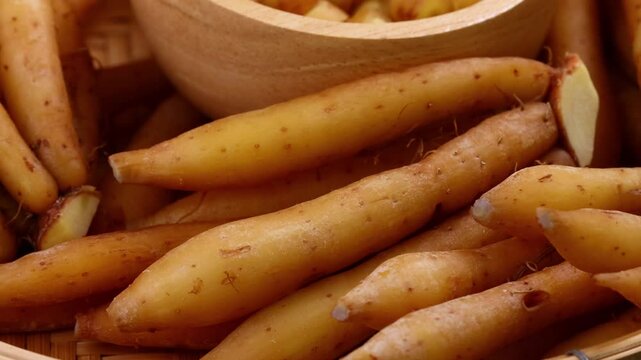 Fresh Finger root or Kaempfer (kachai)	