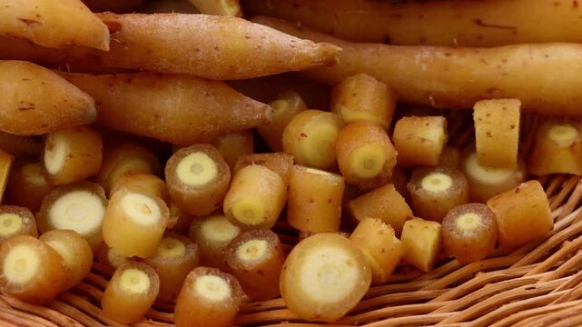 Fresh Finger root or Kaempfer (kachai)	