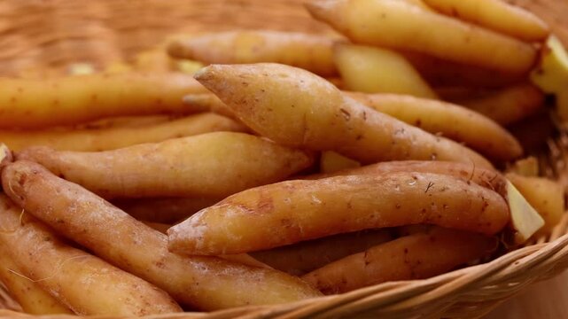 Fresh Finger root or Kaempfer (kachai)