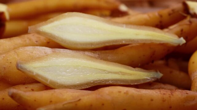 Fresh Finger root or Kaempfer (kachai)