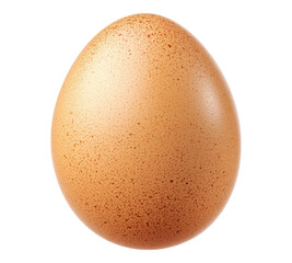 Brown egg on transparent background