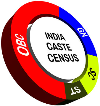 India Caste Census Survey 3D Pie Chart Illustration National Population Data Representation Transparent PNG File