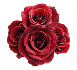 rose boquet on transparent background