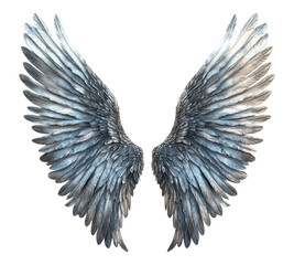silver color wings on transparent background