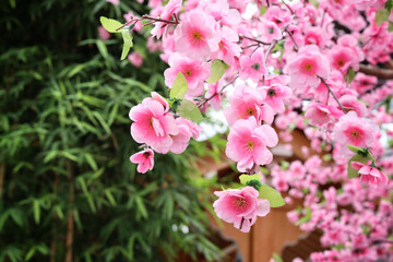 Beautiful of japanese cherry blossoms artificial flowers