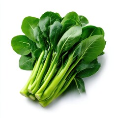 Fresh bok choy vegetable isolated on white background