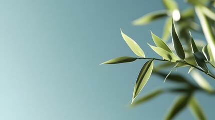 Fototapeta premium Serene Bamboo Leaves Against a Clear Blue Sky Nature