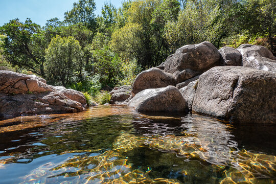 Em meio à natureza e rodeado por verdes árvores, um riacho de água junto à Cascata de Cela Cavalos na Serra da Estrela em Portugal - Powered by Adobe