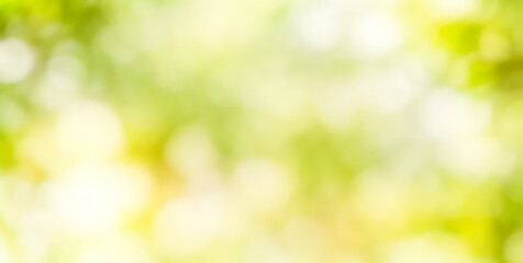 Abstract blurred background with green and white bokeh lights creating a soft effect.