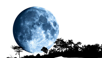 full moon behind tree silhouette isolated on transparent background