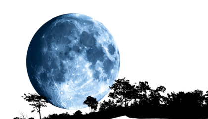 full moon behind tree silhouette isolated on transparent background
